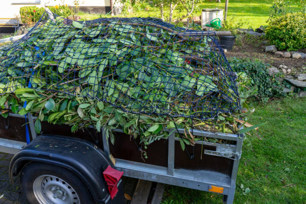 Best Dumpster Rental Services  in East Brooklyn, CT